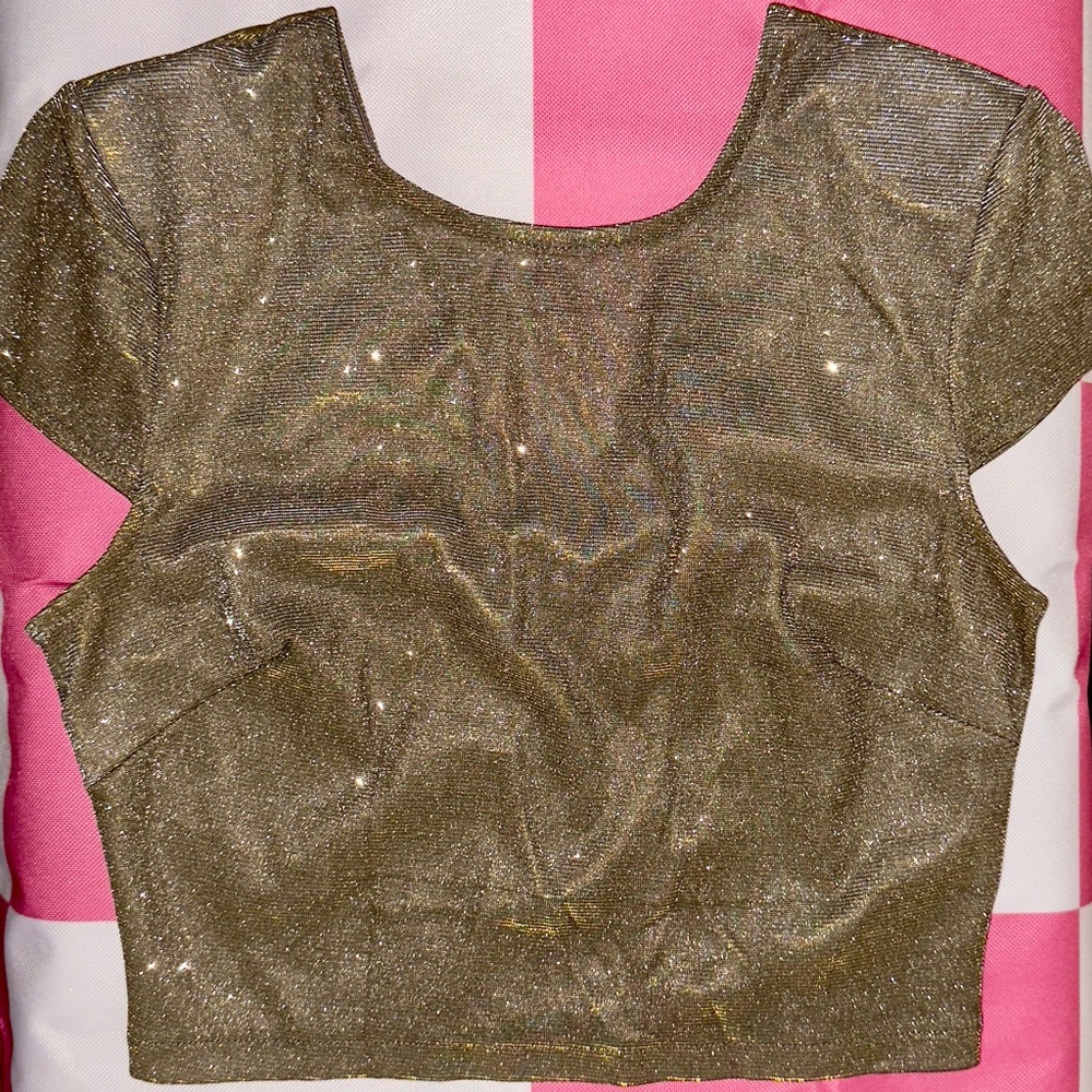Forever 21 Gold Sequin Cap Sleeve Crop Top, low back with zipper.